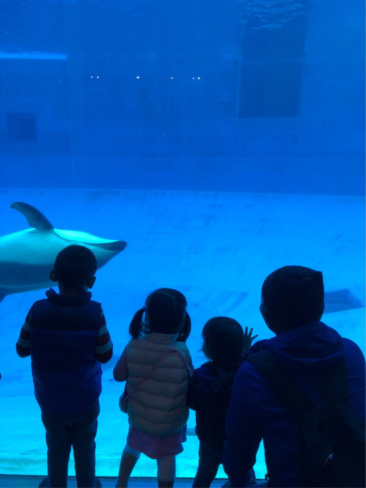 名古屋港水族館に行って来ました！！